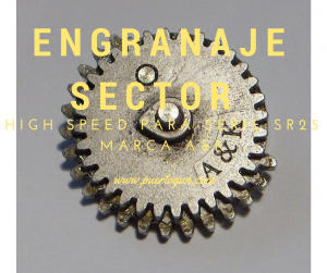 Engranaje Sector